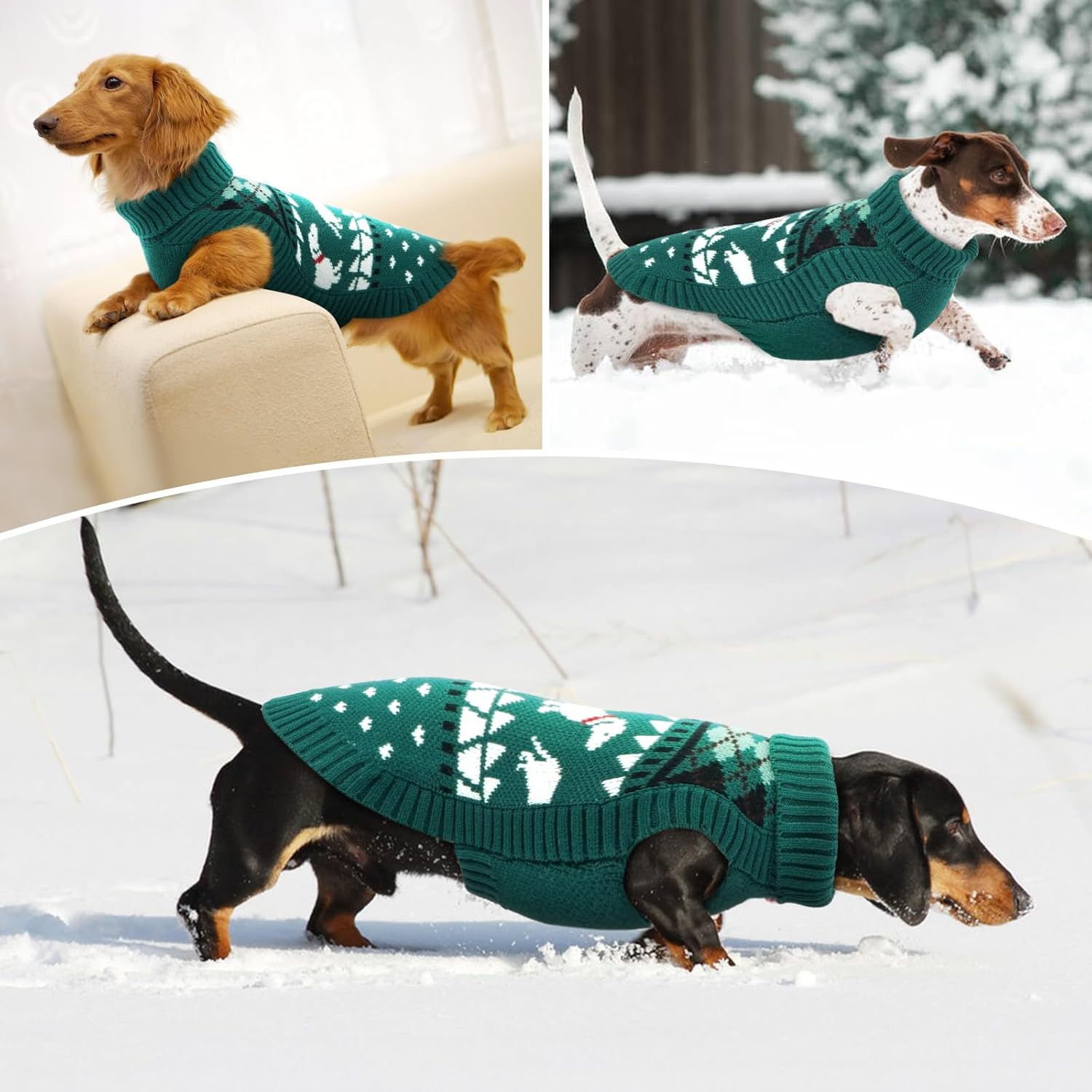 Thumbnail 6 de Lelepet Dog Jumper for Dachshund – Knitted Warm Turtleneck Sweater in Green S