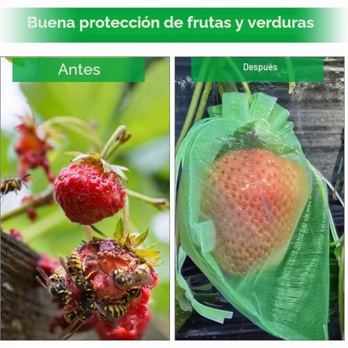 Thumbnail 4 de Bolsas de Protección para Uvas 20 x 30 cm – 100 unidades de RURIZHONGTIAN
