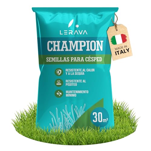 Detalle de LERAVA CHAMPION semillas césped (30 m²): mezcla resistente a la sequía para jardín natural