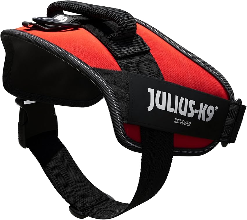 Thumbnail 2 de Arnés IDC Power L/1 Rojo