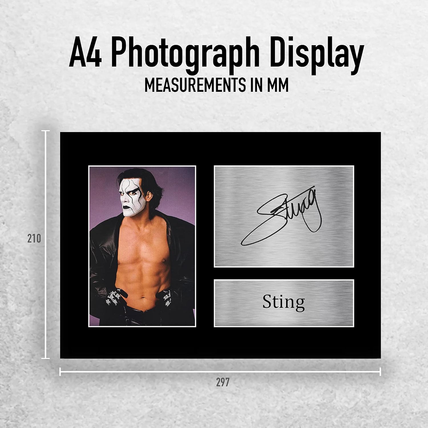 Thumbnail 1 de HWC Trading Sting signed A4 printed wrestling autograph gift display (unframed)