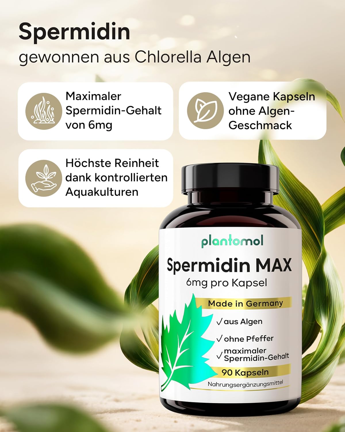 Thumbnail 6 de Spermidin Kapseln 6 mg pro Kapsel