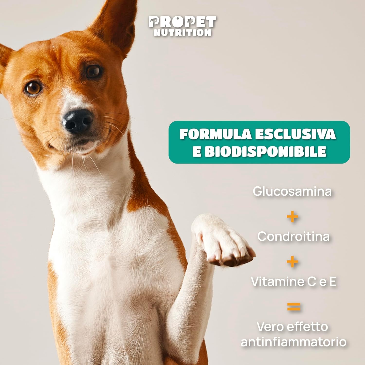 Detalle de Integratore Articolazioni Cane – Snack naturali per mobilità e benessere articolare