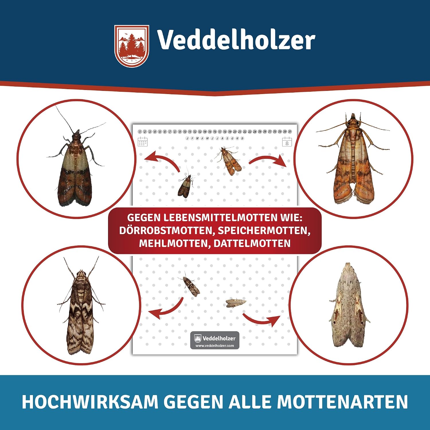 Detalle de Veddelholzer Lebensmittelmotten-Falle 10 Stück