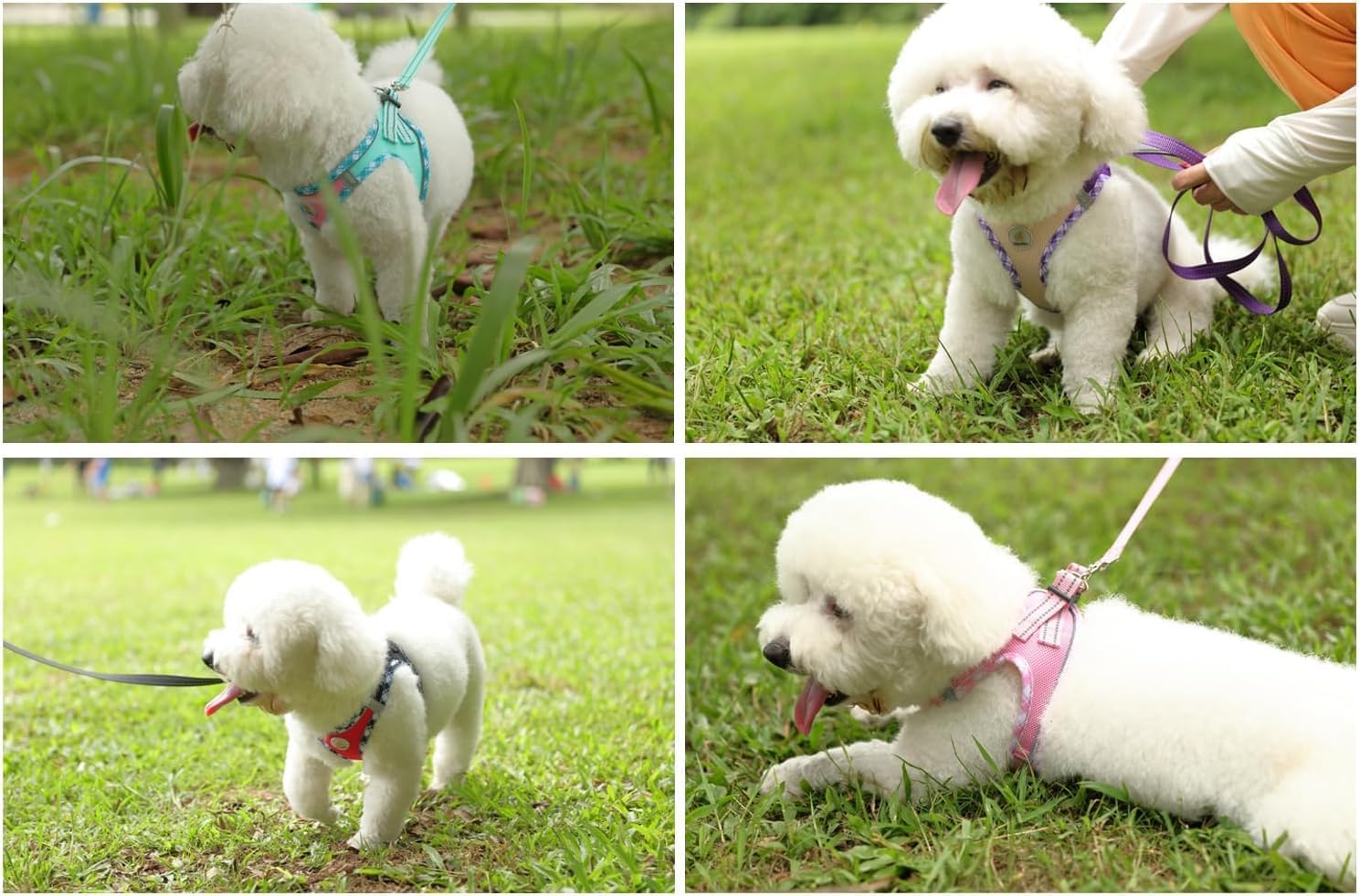 Thumbnail 6 de Hipubby Dog Harness and Leash Set, Size S