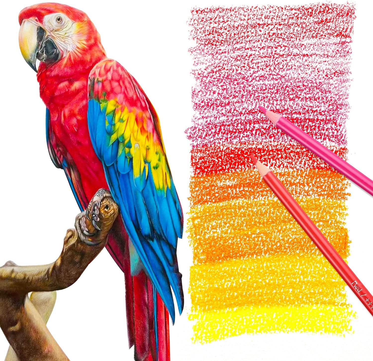 Detalle 2 de HIFORNY Set di 125 matite colorate per adulti: completezza per disegno e illustrazione