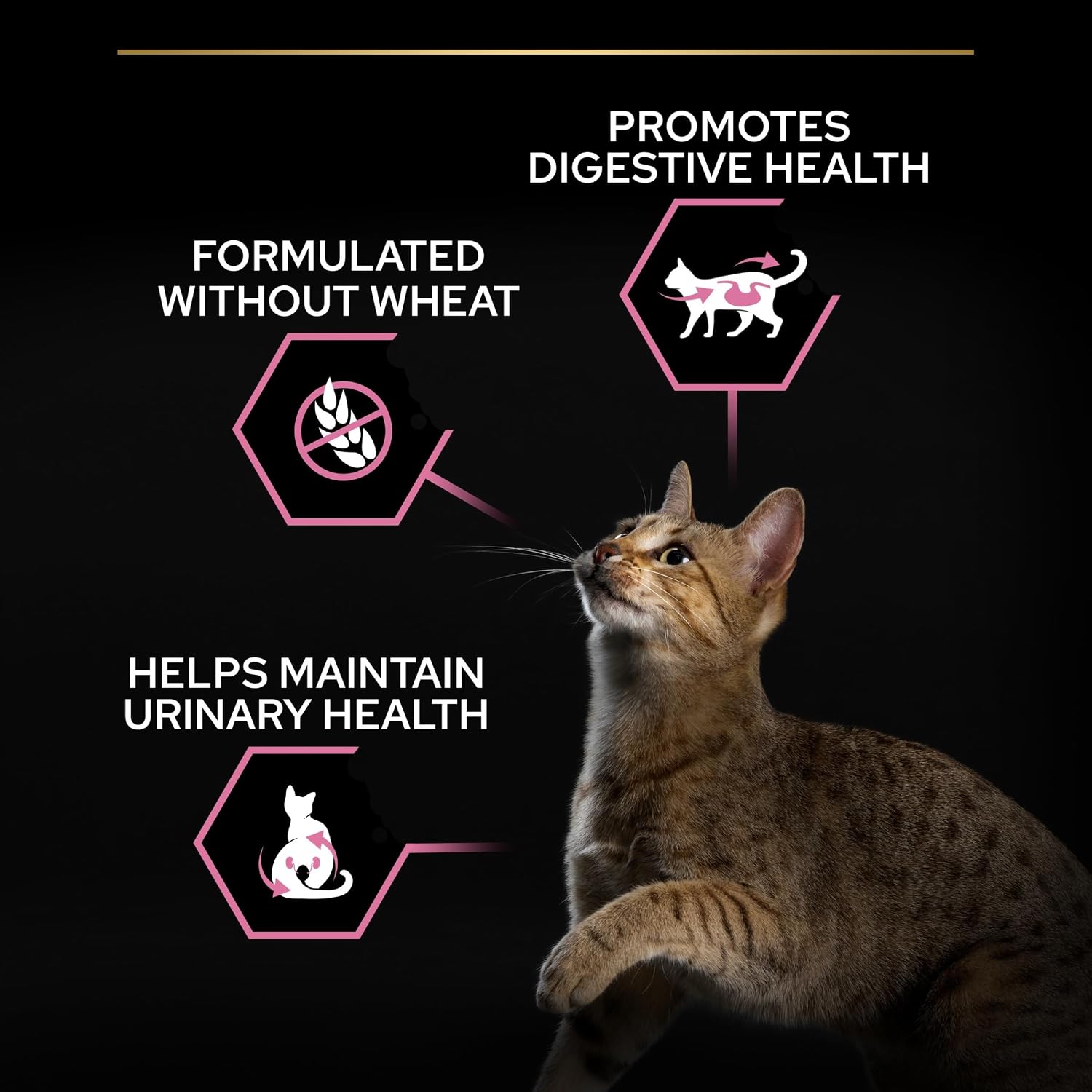 Detalle de Purina Pro Plan Sterilised Delicate Digestion Crocchette Gatti Adulti Ricco in Pollo 3kg