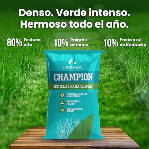 Detalle de LERAVA CHAMPION semillas césped (30 m²): mezcla resistente a la sequía para jardín natural