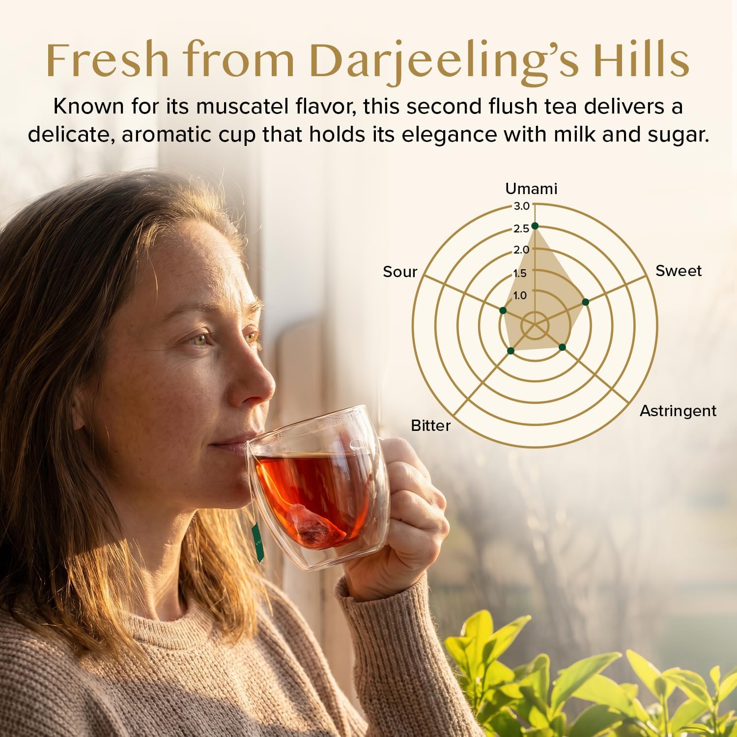 Thumbnail 3 de VAHDAM Thé Noir Darjeeling d'Été (100 sachets pyramidaux) – 100% pur, infusion chaude ou glacée