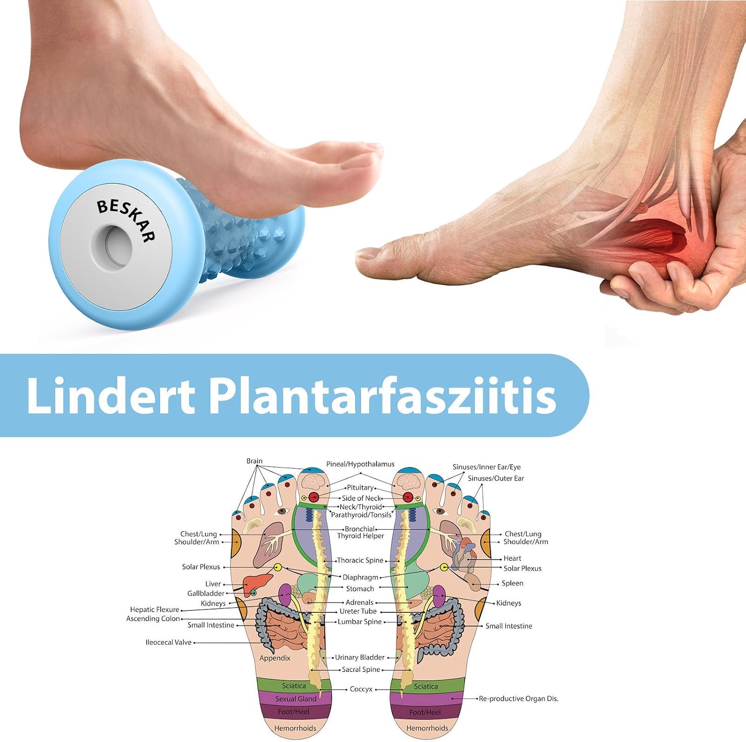 Detalle de BESKAR Fußmassagerolle für Plantarfasziitis – tragbare Gummi-Massagerolle für Triggerpunkt- und Tiefengewebe-Massage, blau