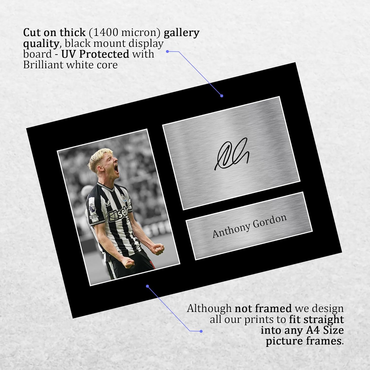 Thumbnail 2 de HWC Trading A4 Anthony Gordon Magpies signed autograph picture (printed photo) for football fans