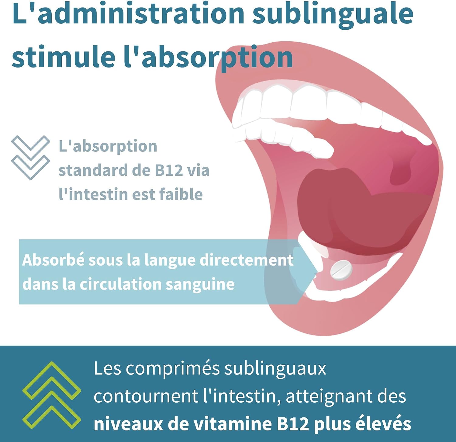 Thumbnail 3 de Igennus Complexe de vitamine B12 sublinguale (méthylcobalamine, adénosylcobalamine, hydroxocobalamine) 1000 mcg – 180 doses