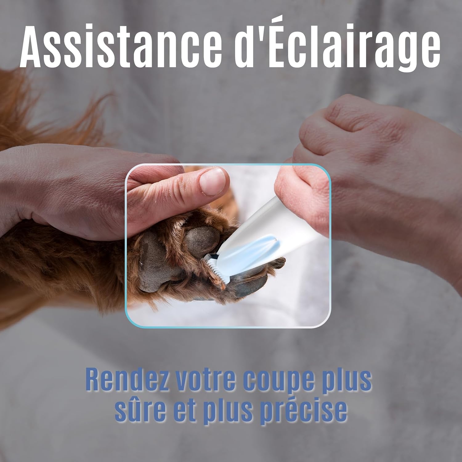 Thumbnail 5 de Pjordo Tondeuse pour chien 18 mm