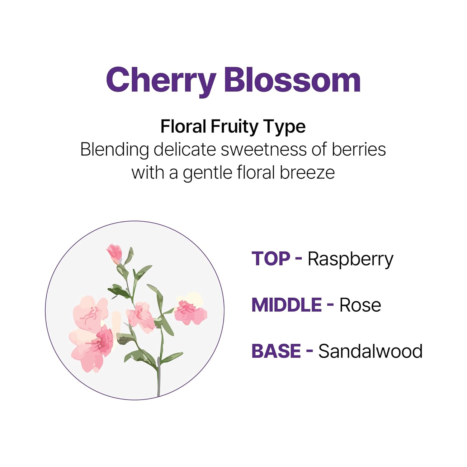 Thumbnail 5 de KUNDAL Korean Shampoo and Conditioner Set (Cherry Blossom) with Argan & Macadamia Oil — Sulfate-Free