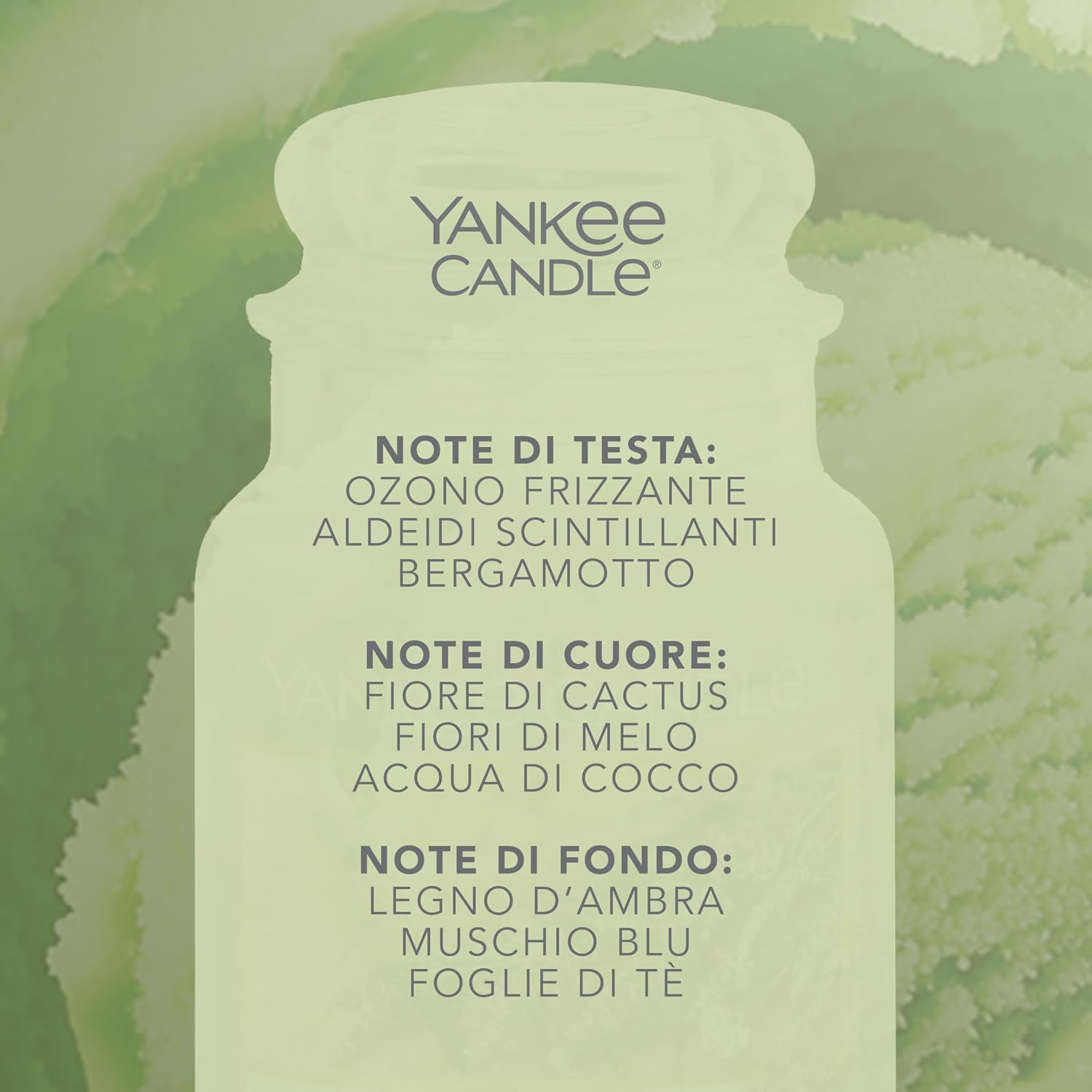 Thumbnail 2 de Yankee Candle Candela Sorbetto 150 ore