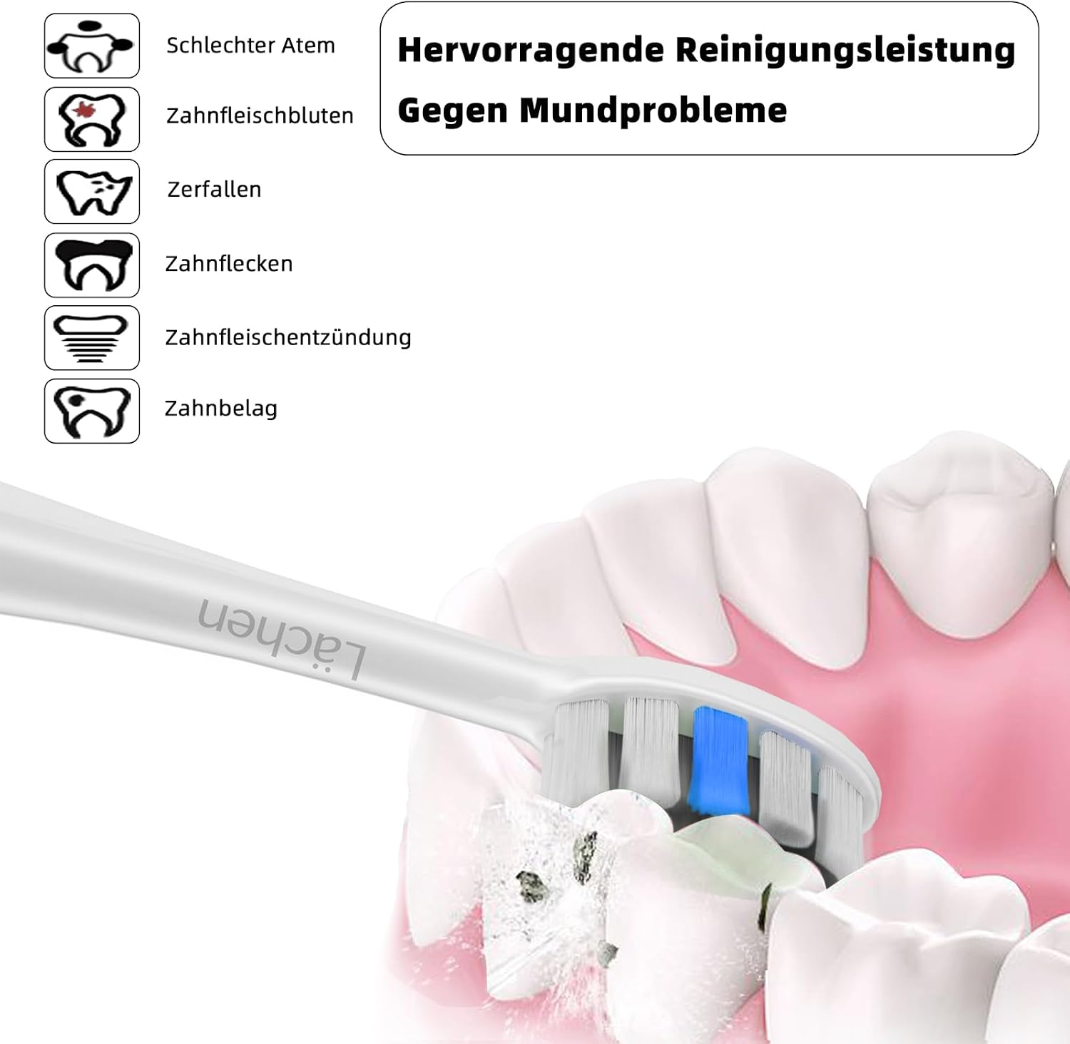 Detalle de Lächen Ersatzbürstenkopf Standard, passend für Aufsteckbürsten (S131) – 4 Stück