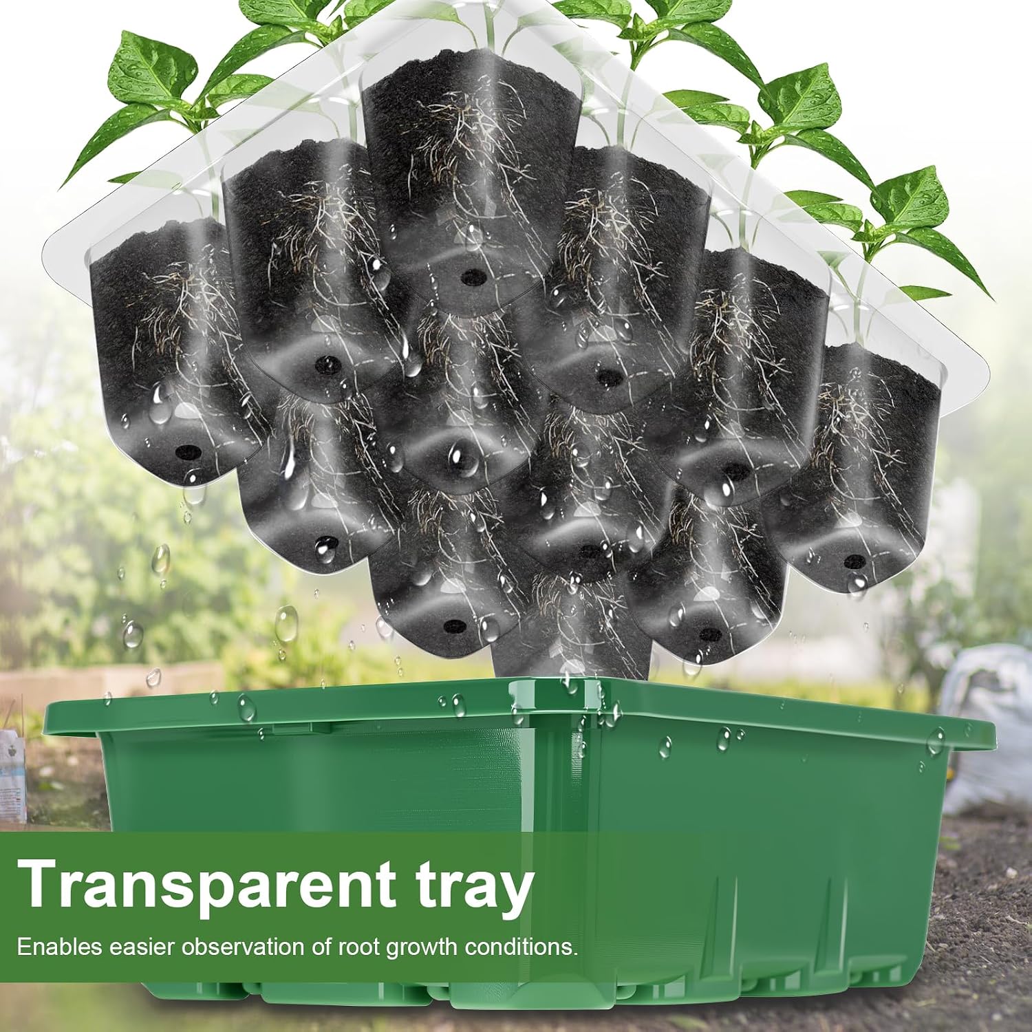 Detalle de Lychee Seed Trays, 10 Pack 120 Cells Propagator with Lidded/Rotatable Vent Design for Greenhouse & Gardens