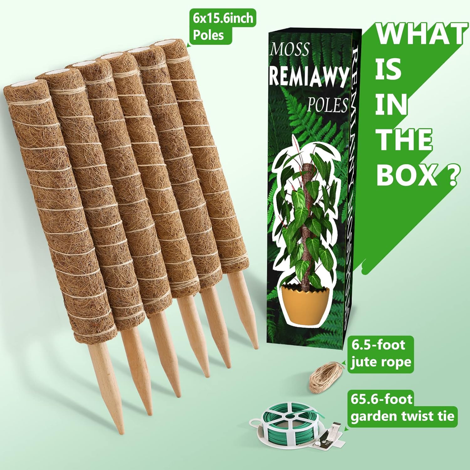 Thumbnail 5 de Moss Pole 173 cm 6-Pack coir climbing poles