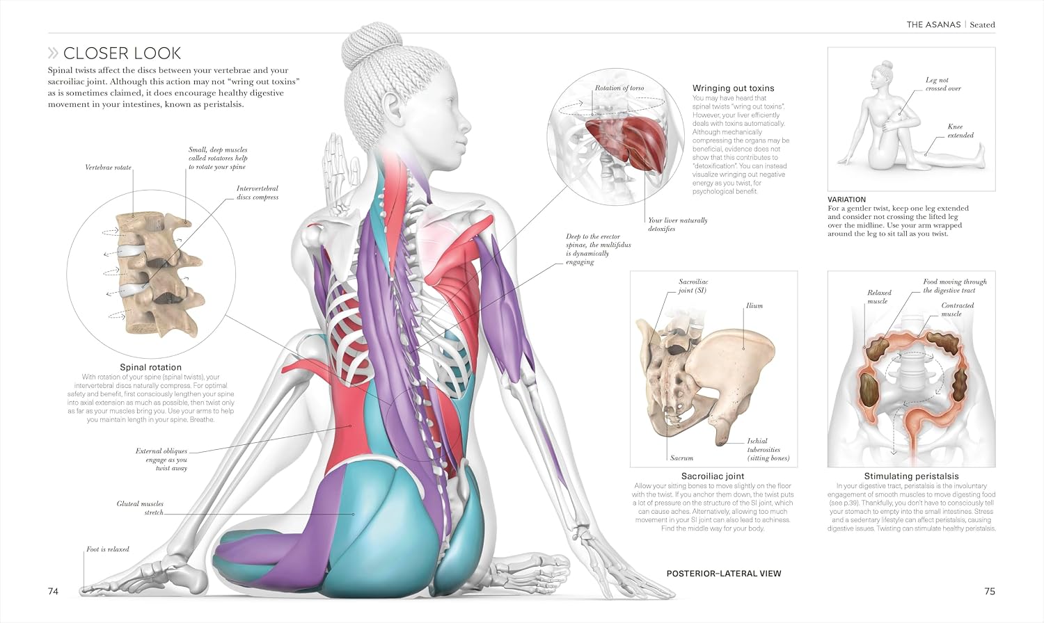 Thumbnail 6 de Science of Yoga: Understand the Anatomy and Physiology to Perfect Your Practice – yogaboek