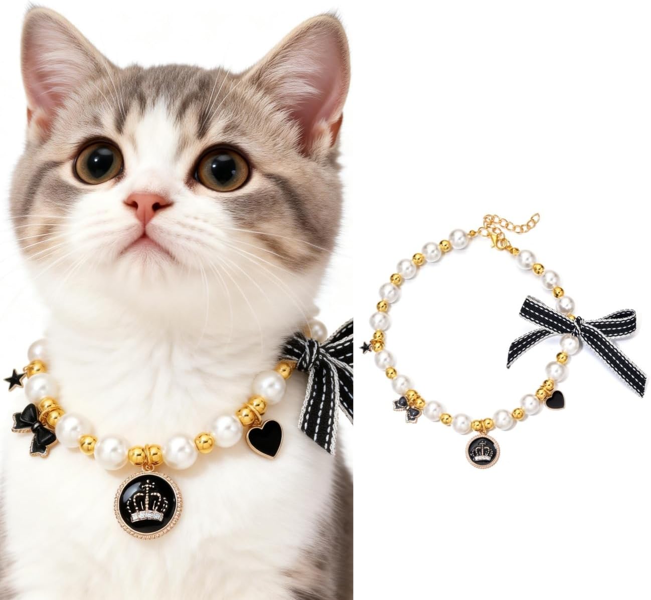 Thumbnail 6 de Accesyes Pet Collar, 10–12-Inch Length