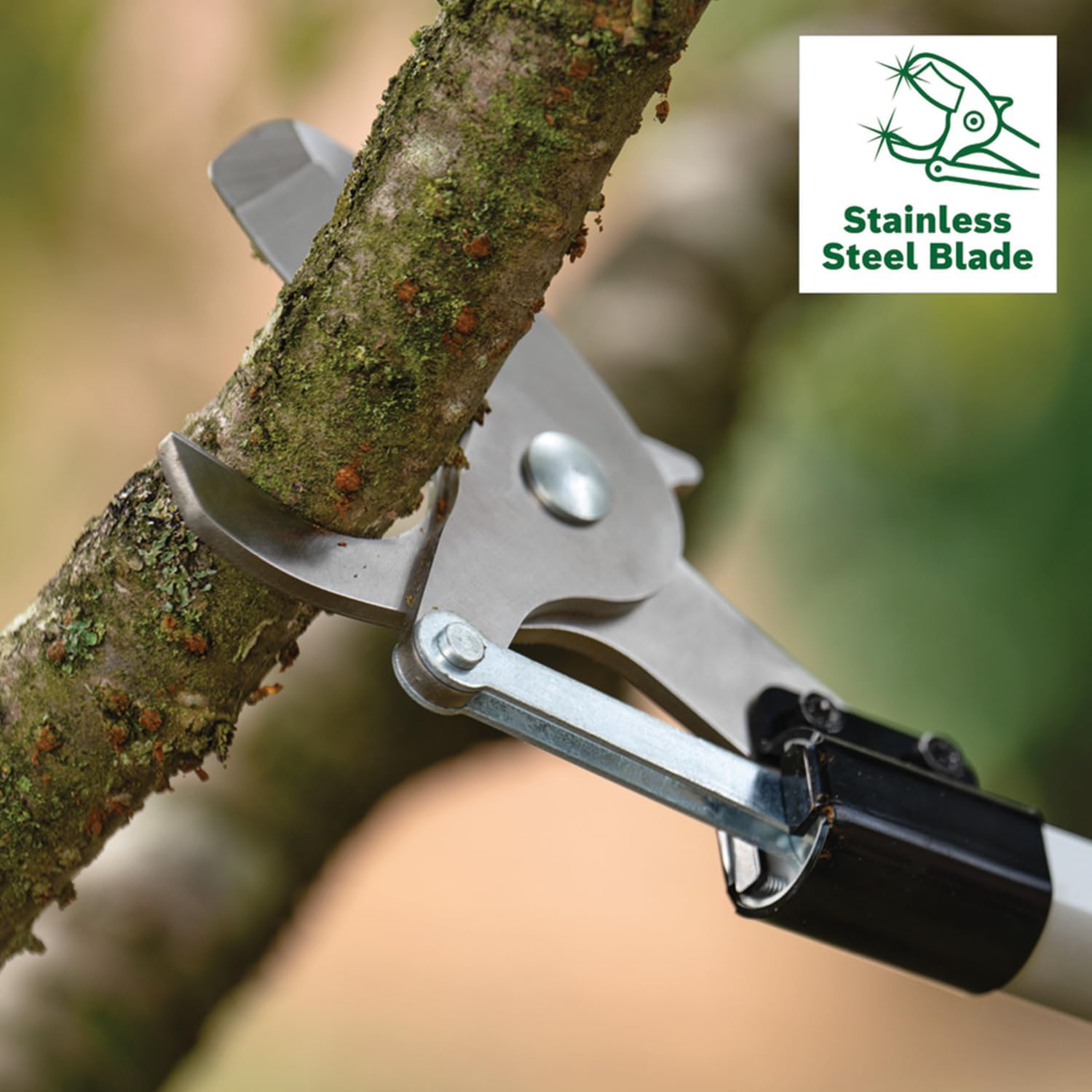 Thumbnail 6 de Bosch Cordless Pruner AdvancedPrune 18V-45 with Extension Pole