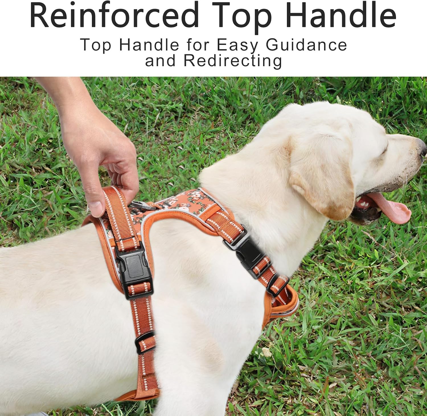 Detalle 2 de HEELE Dog Harness No Pull L