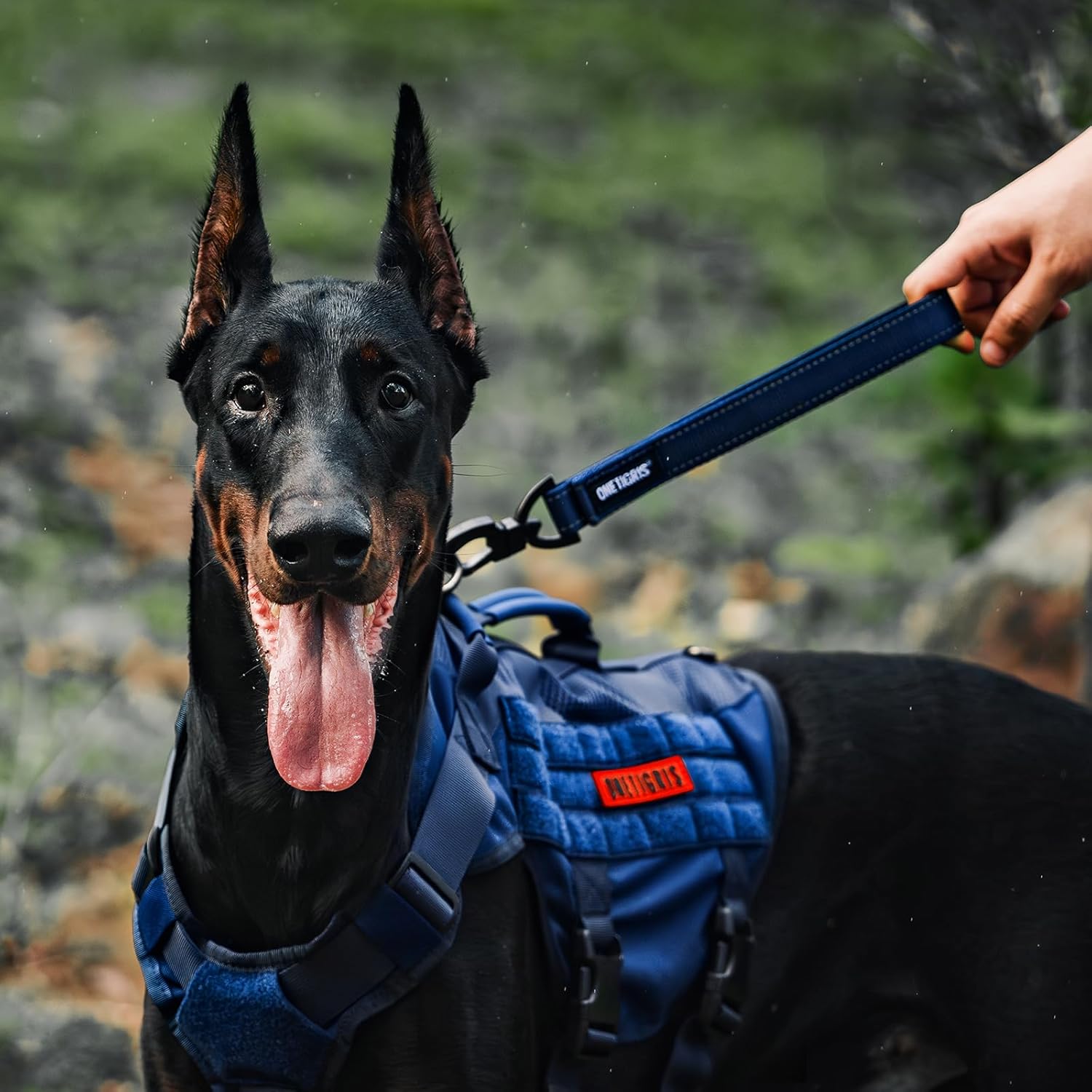 Detalle de OneTigris Bolt Laisse Courte pour Chien 30 cm avec Clip Métallique et Rembourrage — Nylon Réfléchissant