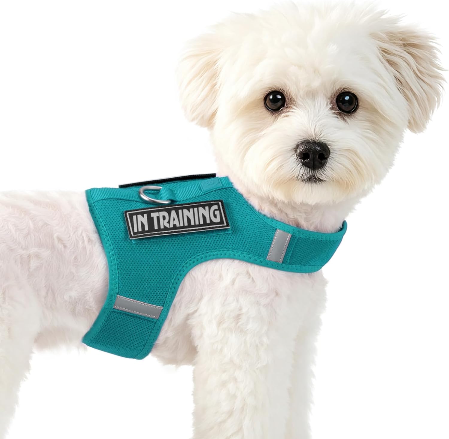 Detalle de Sunraymascota Cat Harness XXS