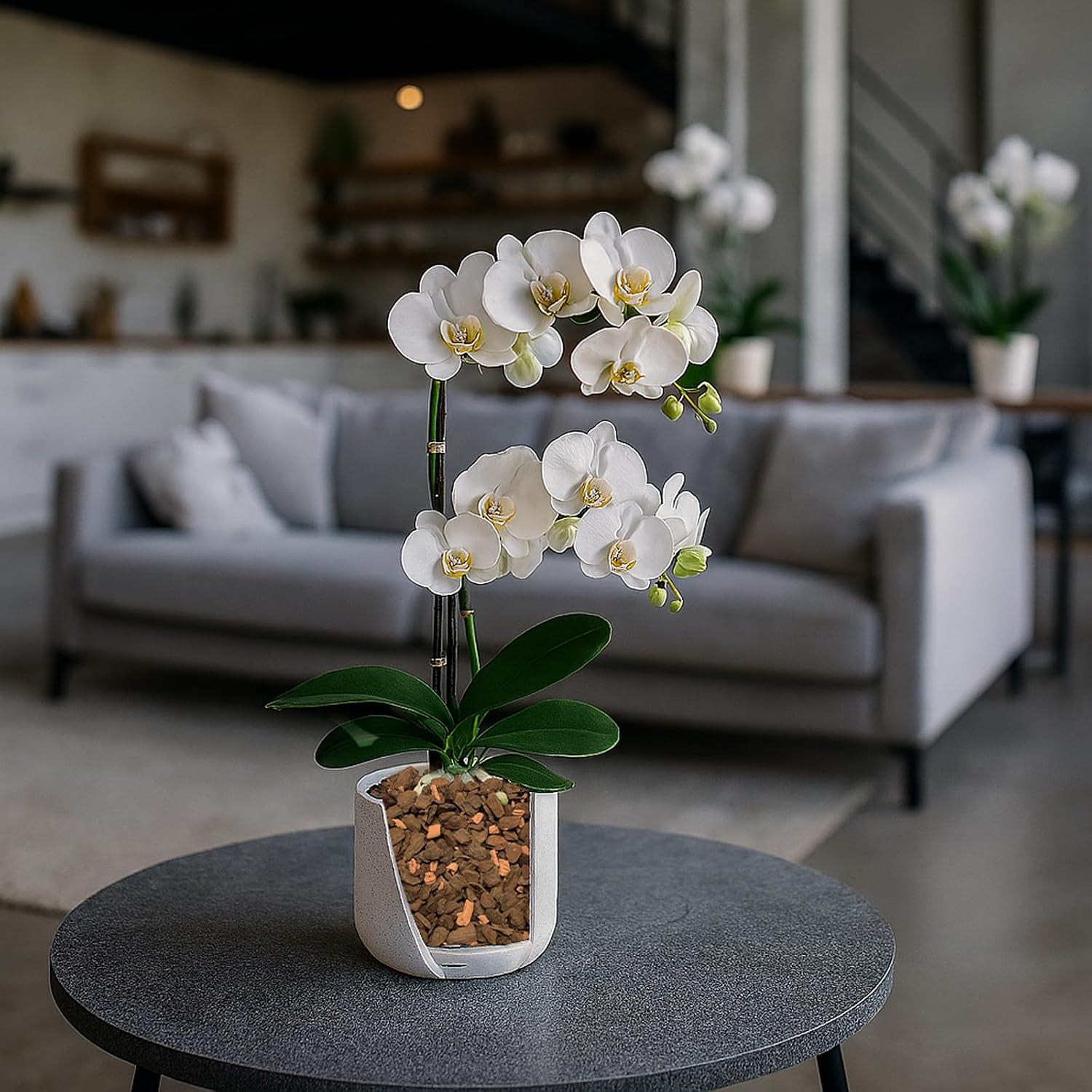 Detalle 2 de Seramis Spezial-Substrat für Orchideen, 7 l – Tongranulat und Pinienrinde für optimale Belüftung und Nährstoffversorgung