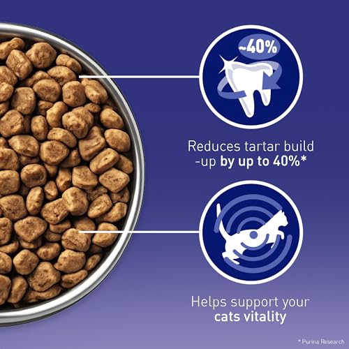 Detalle de Purina One Salmon Dry Cat Food 800g (Pack of 4) – Adult Cat Nutrition