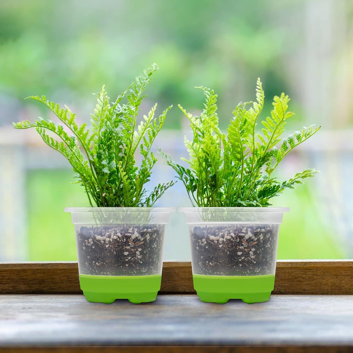 Thumbnail 6 de MIXC 4-Inch Nursery Pots, 30-Pack, with Clear Sides and Silicone Bases