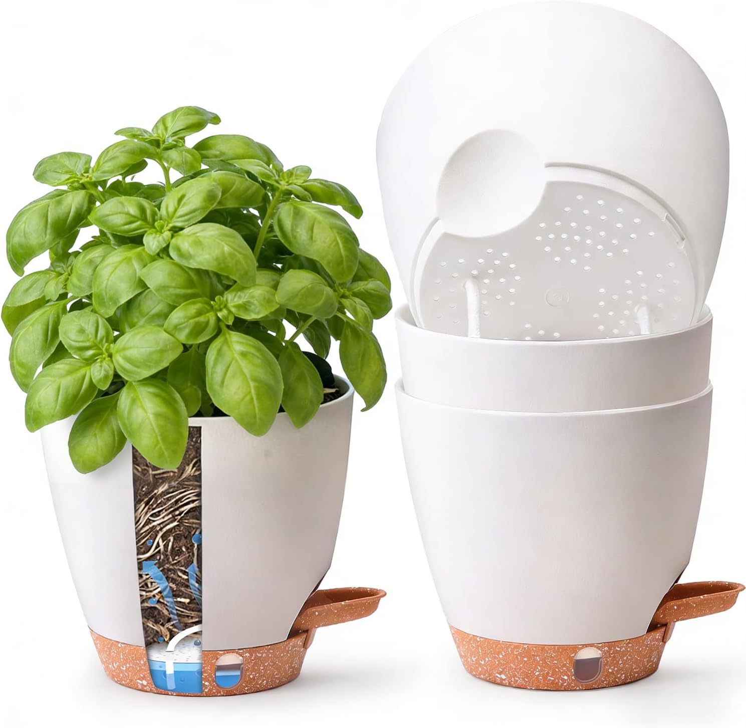 Detalle de T4U Kräutertopf Set mit 15 cm