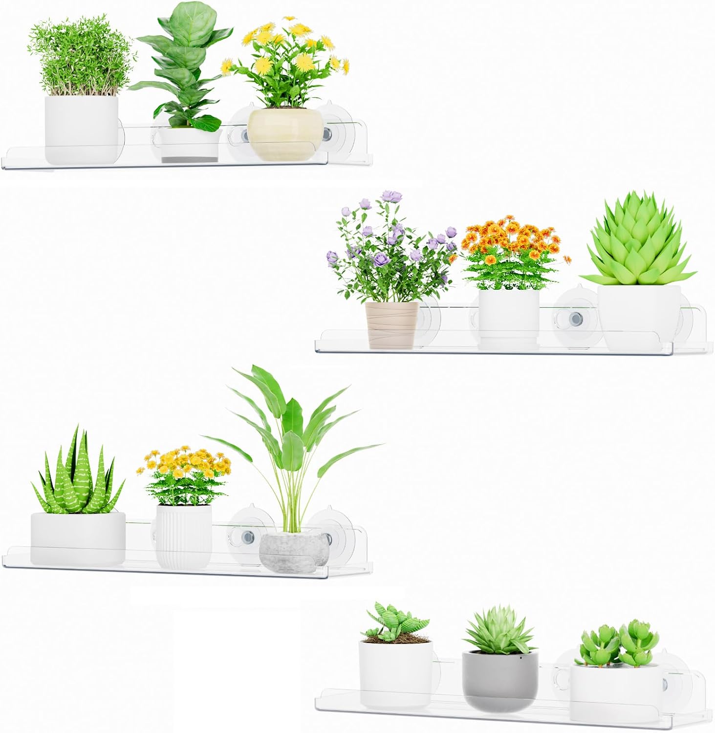 Detalle de Lifewit 24126 transparenta fönsterhyllor med sugkoppar, 4-pack