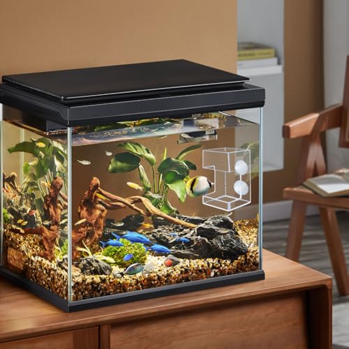 Thumbnail 6 de Acrylic Automatic Feeding Ring for Fish Tank ๐ฃ