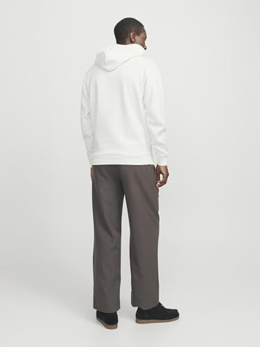Detalle de JACK & JONES JJEBRADLEY Sudadera M