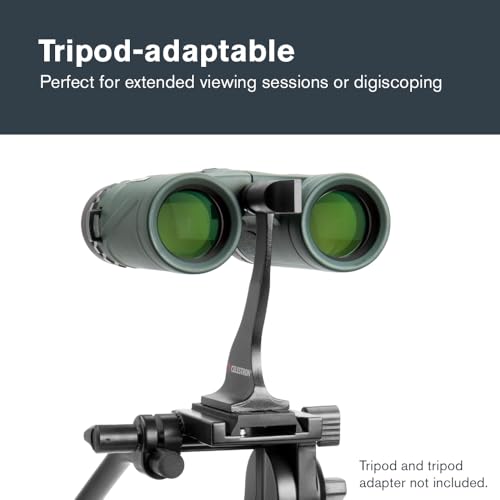 Thumbnail 5 de Celestron 71330 Nature DX 8x32 jumelles BaK-4 vertes đź”