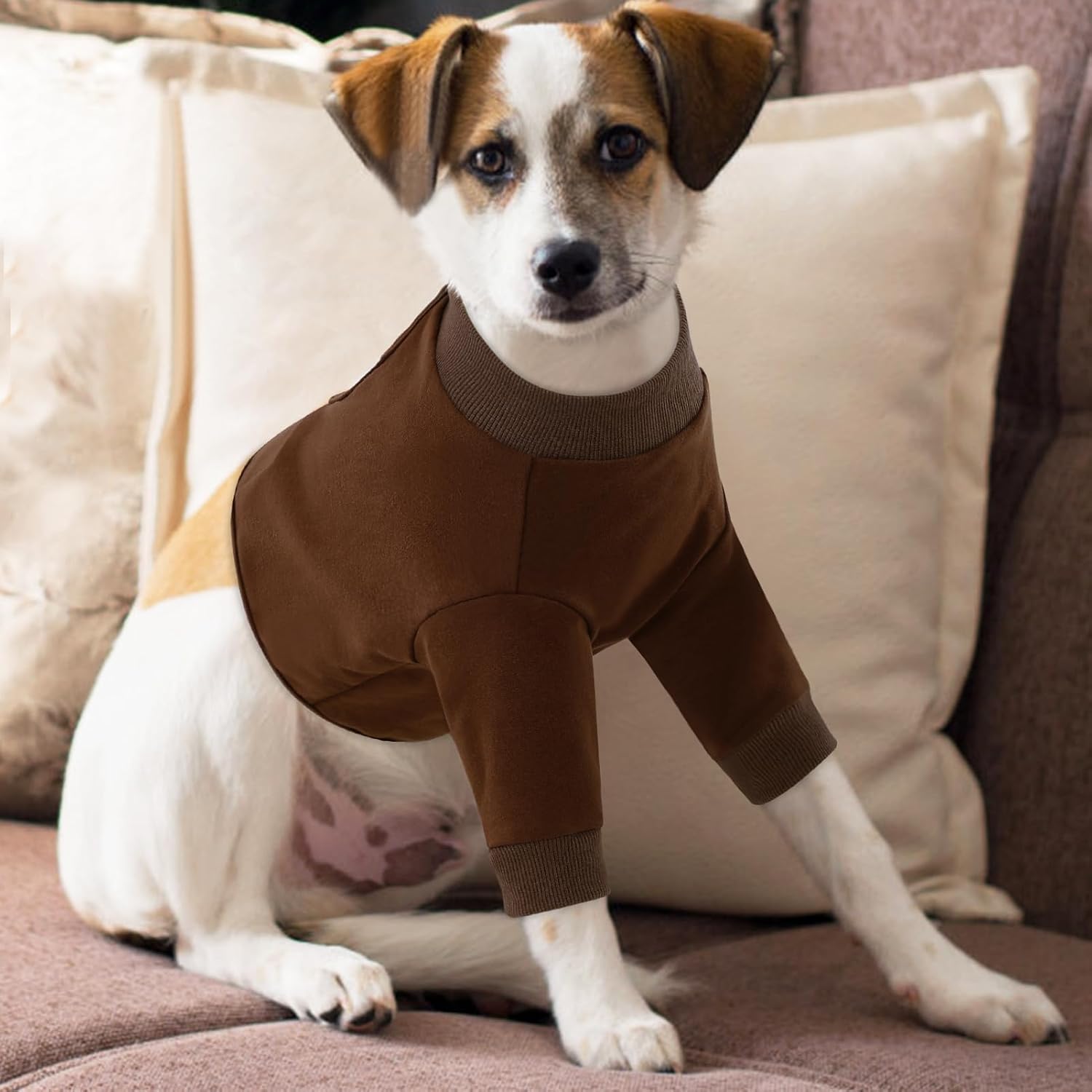 Thumbnail 6 de CITÉTOILE Hundebody Nach Op, M Wundschutz