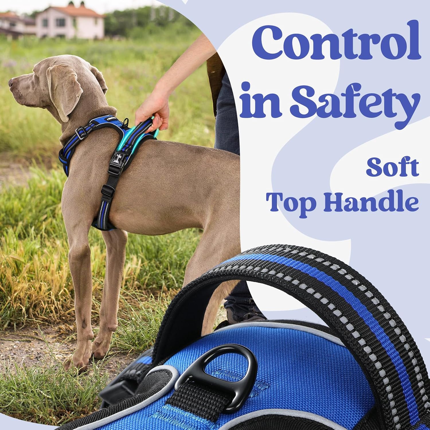 Detalle 2 de rabbitgoo No-Pull Dog Harness L, 3 Buckles