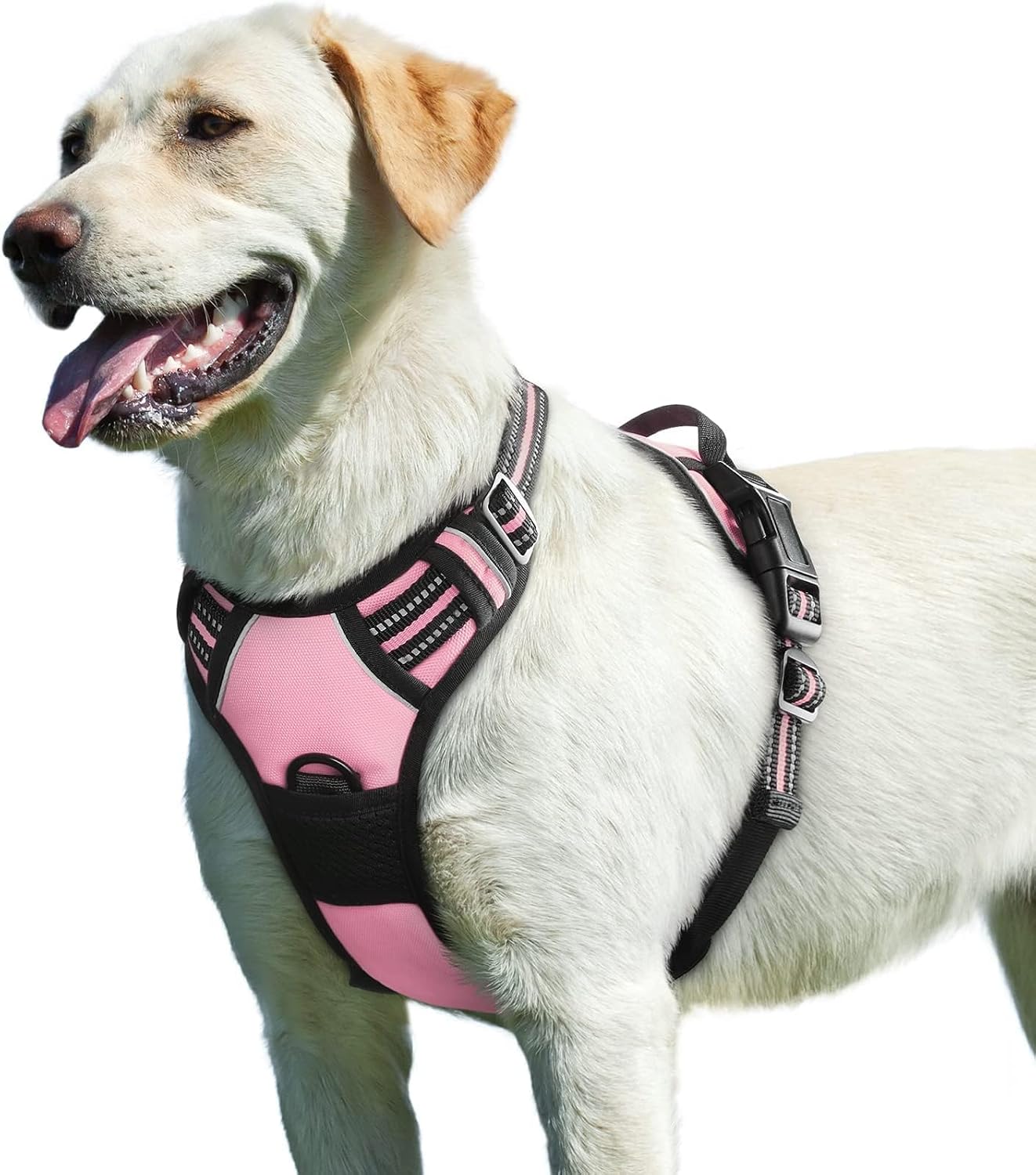 Detalle de Eagloo Dog Harness Large