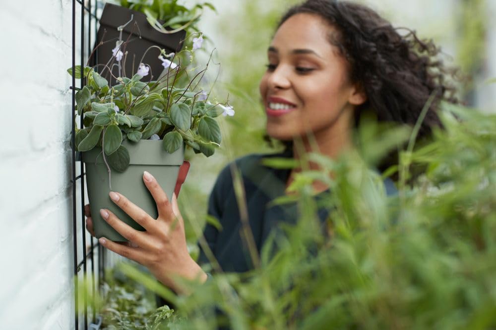 Thumbnail 5 de Elho Loft Urban Green Wall Pot 15 - Macetero Exterior