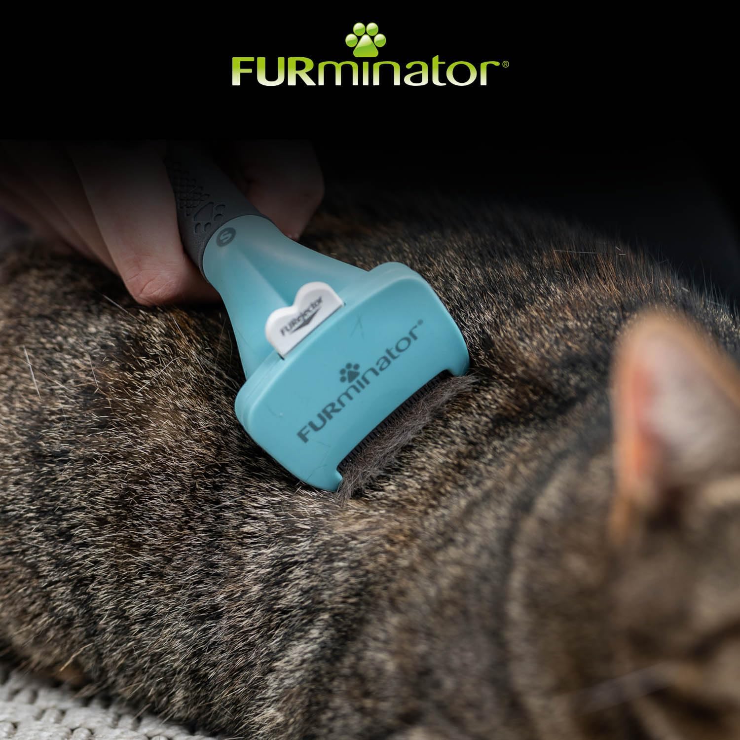 Thumbnail 5 de FURminator deShedding-Tool Katze Größe S Kurzhaar – Katzenbürste zur Entfernung der Unterwolle