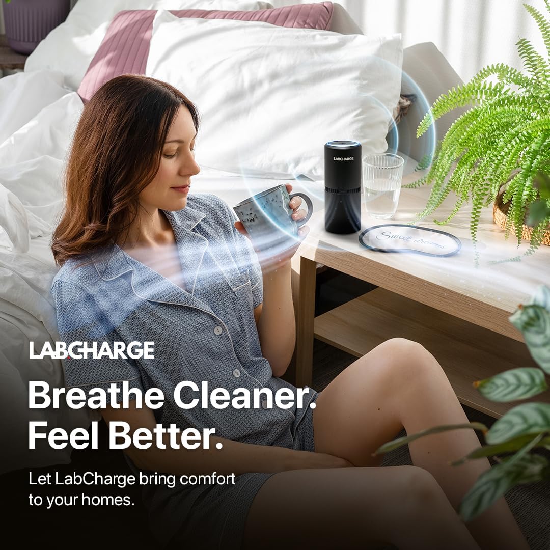 Thumbnail 3 de LabCharge Small Ionic Air Purifier 250 Sq Ft