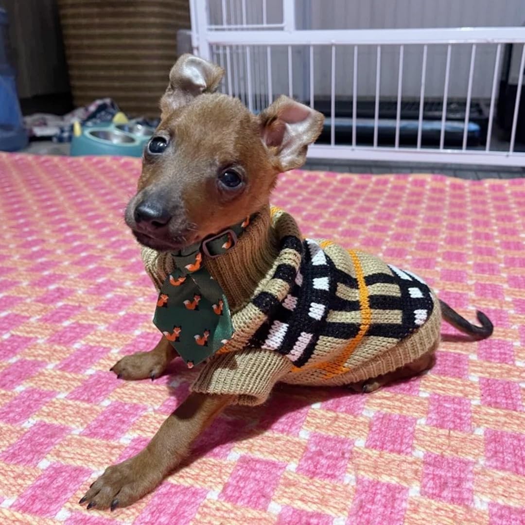 Detalle de Small Dog & Cat Jumper: Knitted Sweater Pullover for Teacup & Tiny Breeds (XL)