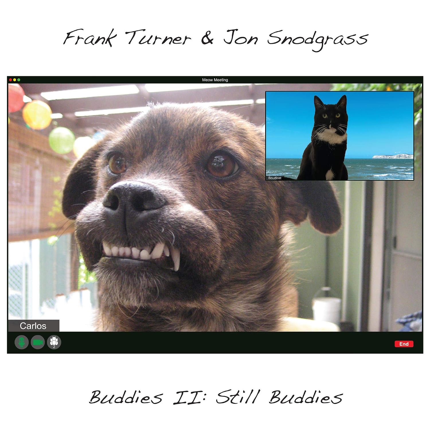 Detalle de Buddies II: Still Buddies Vinyl Album by Frank Turner & Jon Snodgrass