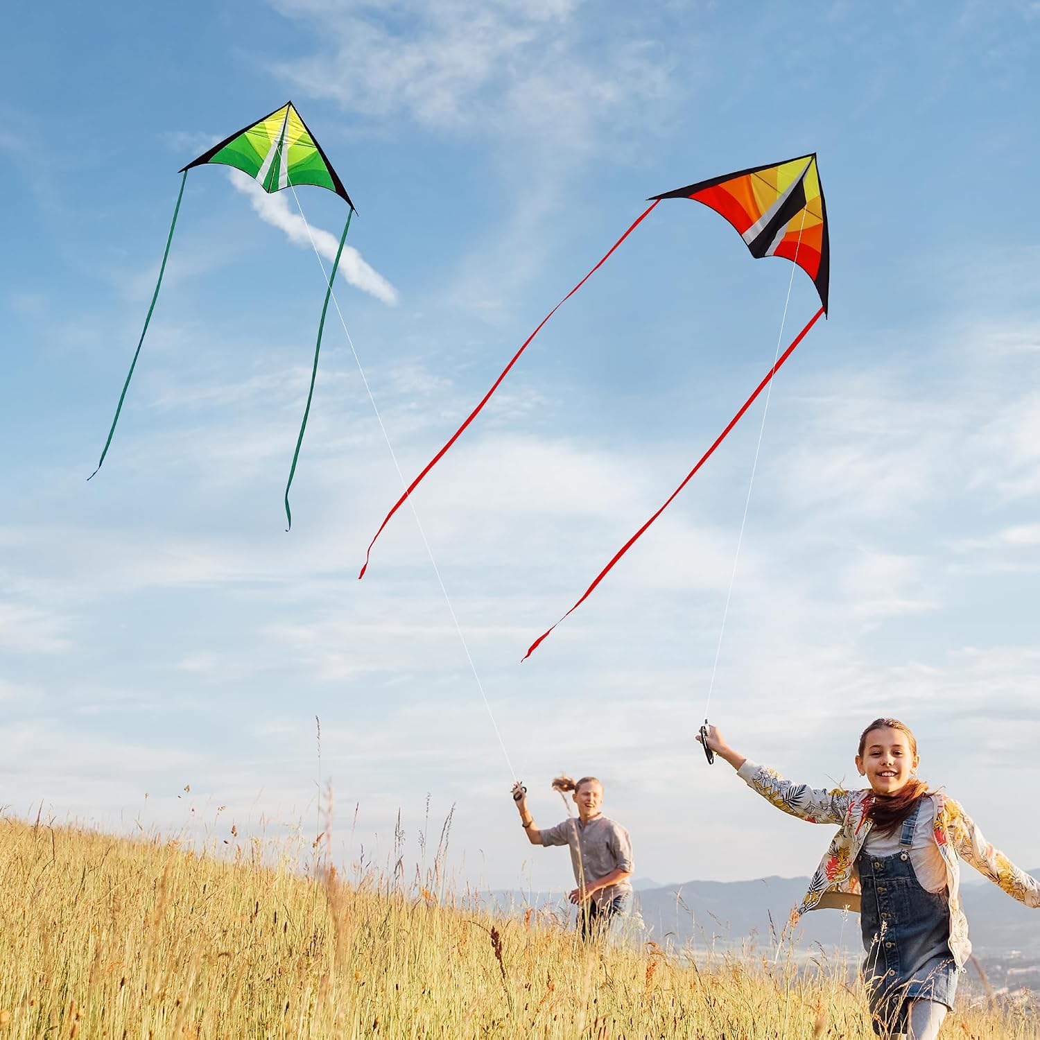 Detalle 1 de Larilook Delta Kite Easy to Fly