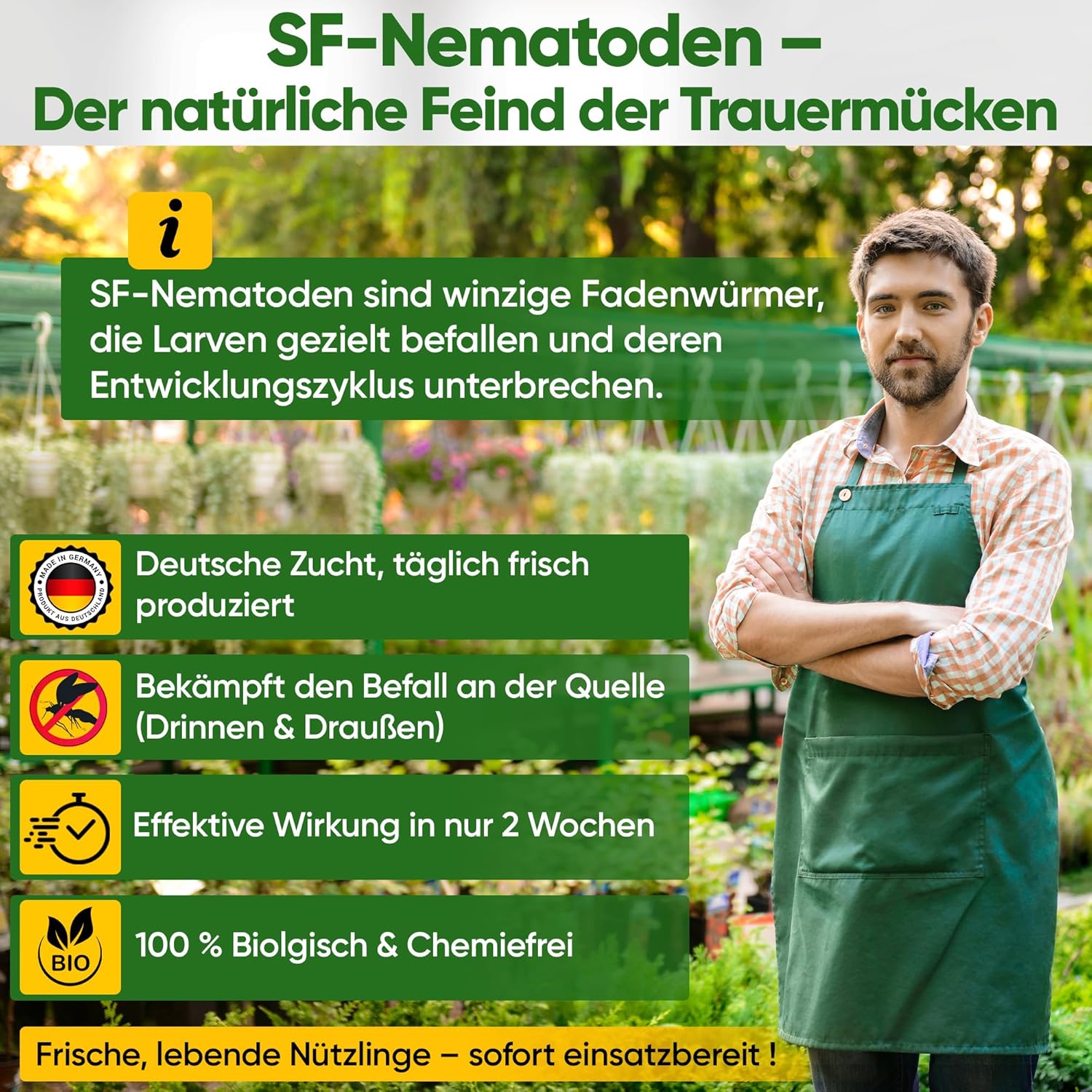 Thumbnail 1 de GREEN GUARDIA Power SF-Nematoden – 4 Mio. (40 Pflanzen/8m²) gegen Trauermücken