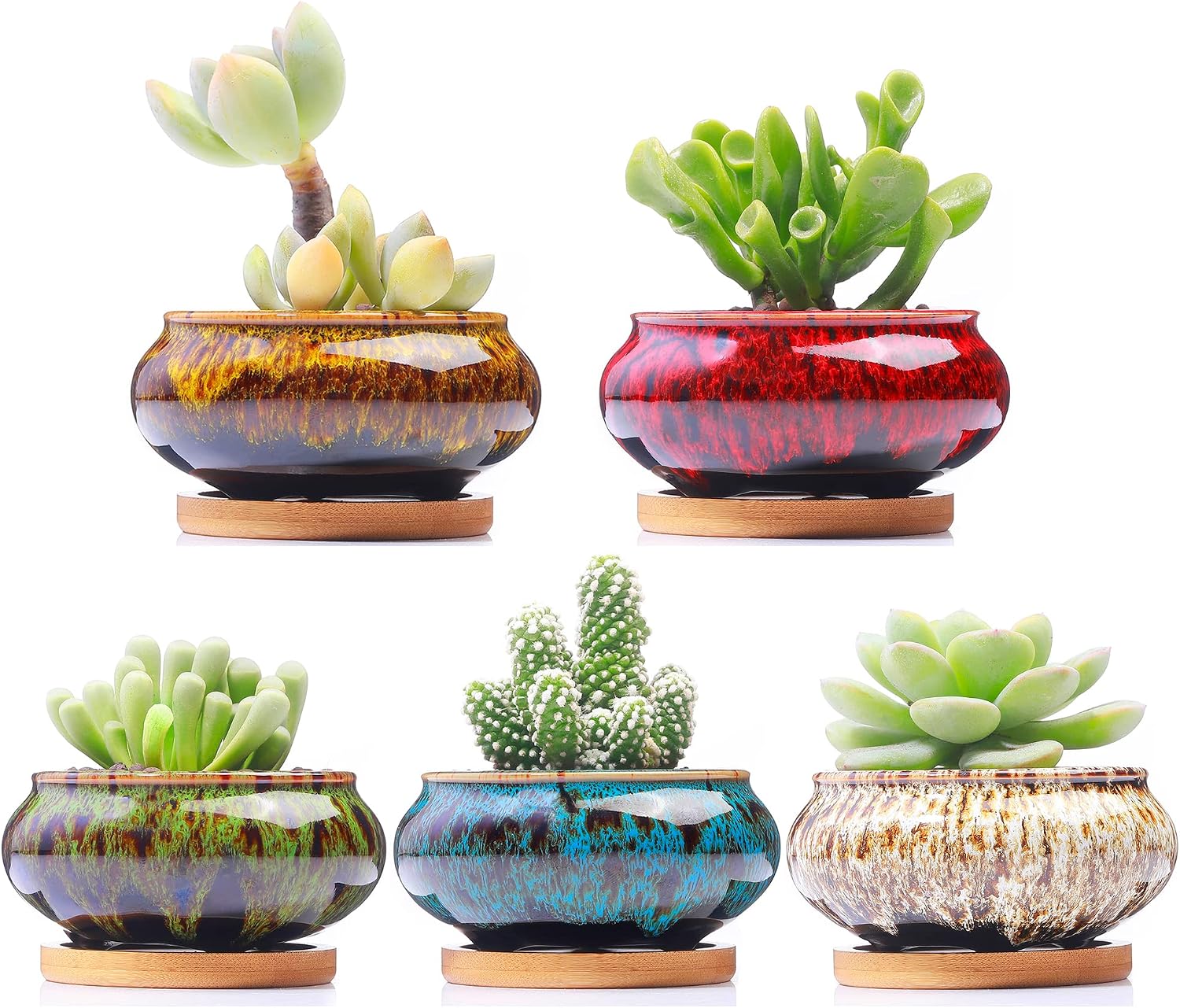 Detalle de LamDawn Ceramic Succulent Planters, Set of 5 with Drainage Holes and Saucers