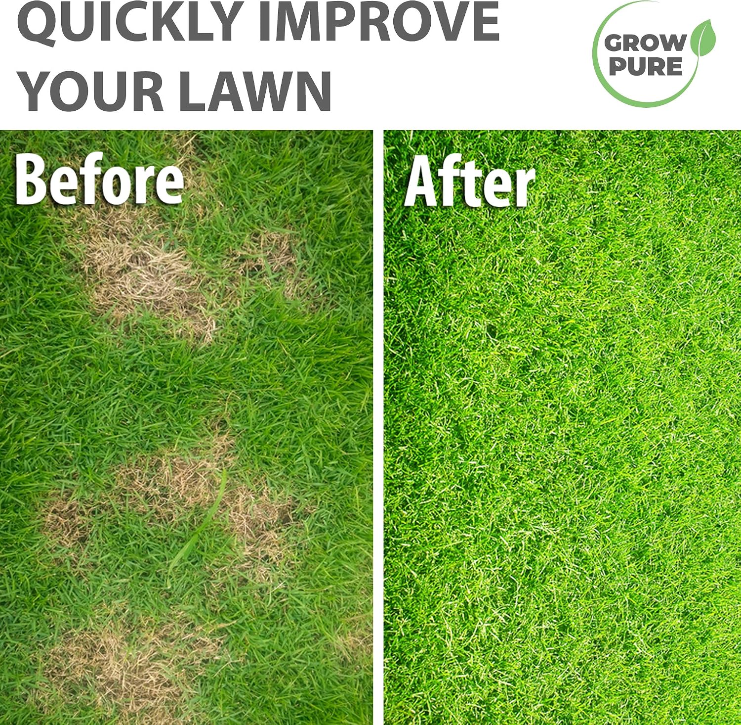 Thumbnail 1 de Grow Pure Grass Seed (1kg) — Quick Patch and New Lawn Solution, UK Climate