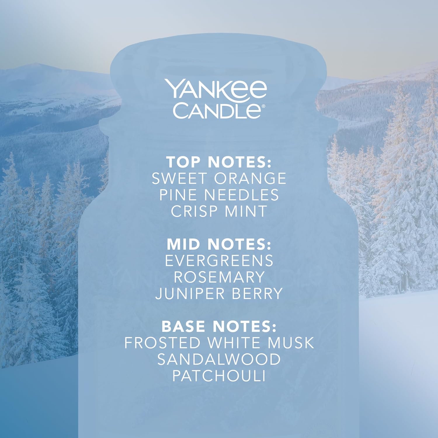Thumbnail 2 de Yankee Candle Sparkling Snow Large Jar