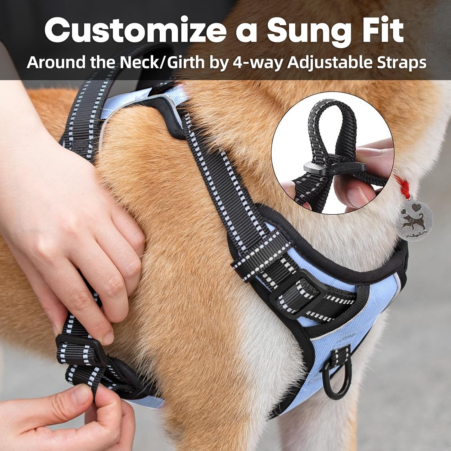 Detalle de No Pull Dog Harness with Reflective 2-Leash